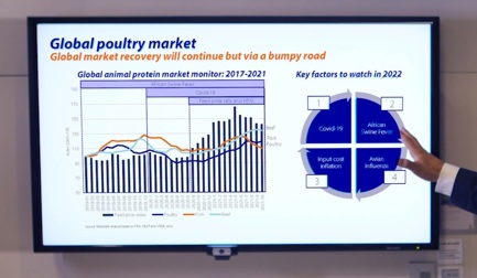 Rabobank's positive outlook, despite the bumpy road