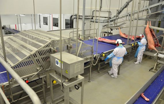 carcass cutter for primal cutting system in pork processing