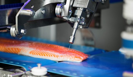 FleXicut pour saumon