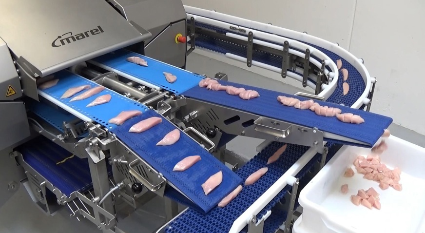 Breast Meat Cubing Line