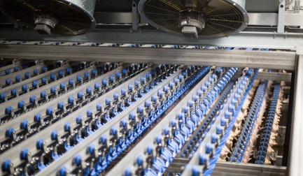 9 веских причин для выбора системы охлаждения мяса птицы Marel