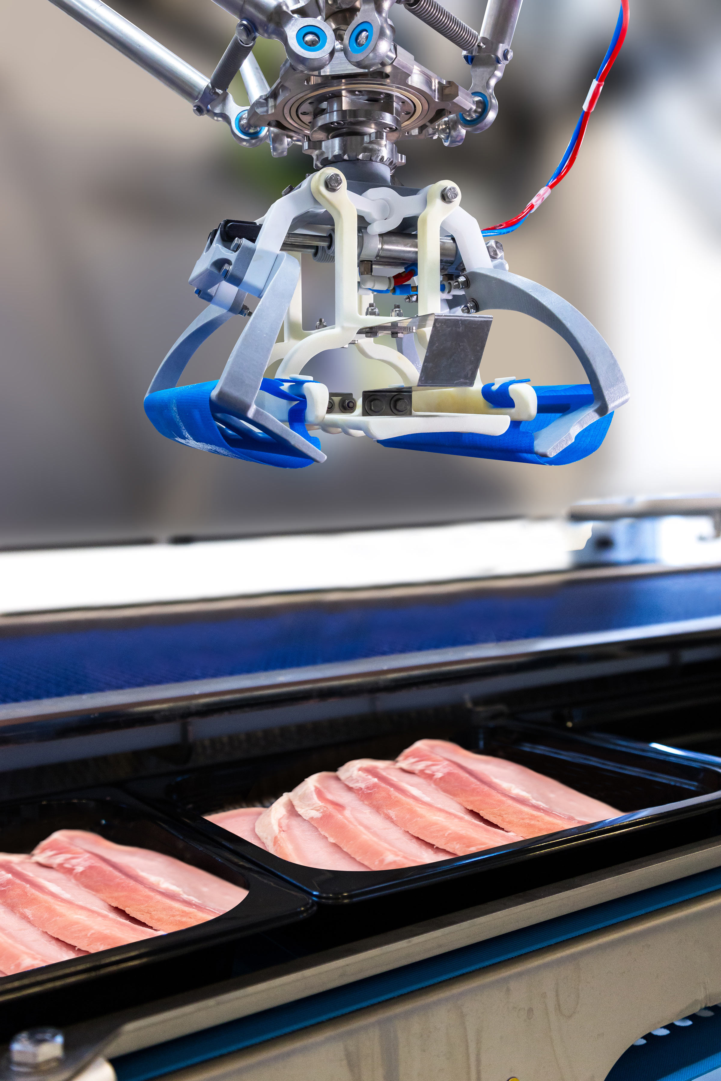 RoboBatcher Flex intelligent meat batching system