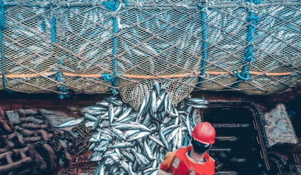 Ist Ihr Unternehmen auf den Rückverfolgbarkeits-Tsunami durch FSMA 204 vorbereitet?