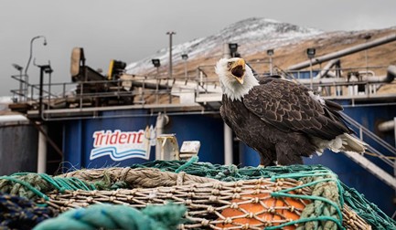 A Trident Seafoods opera com total controle de produção, desde o desembarque até o embarque