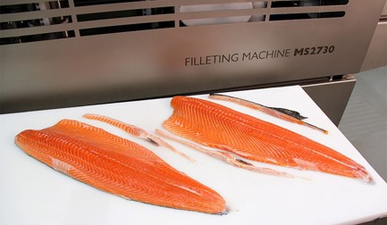 China’s first fully automatic salmon processing line