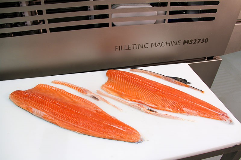 China’s first fully automatic salmon processing line