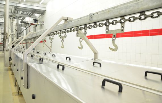 Swine Scalding Tank On Air Conveyors Pork Processing