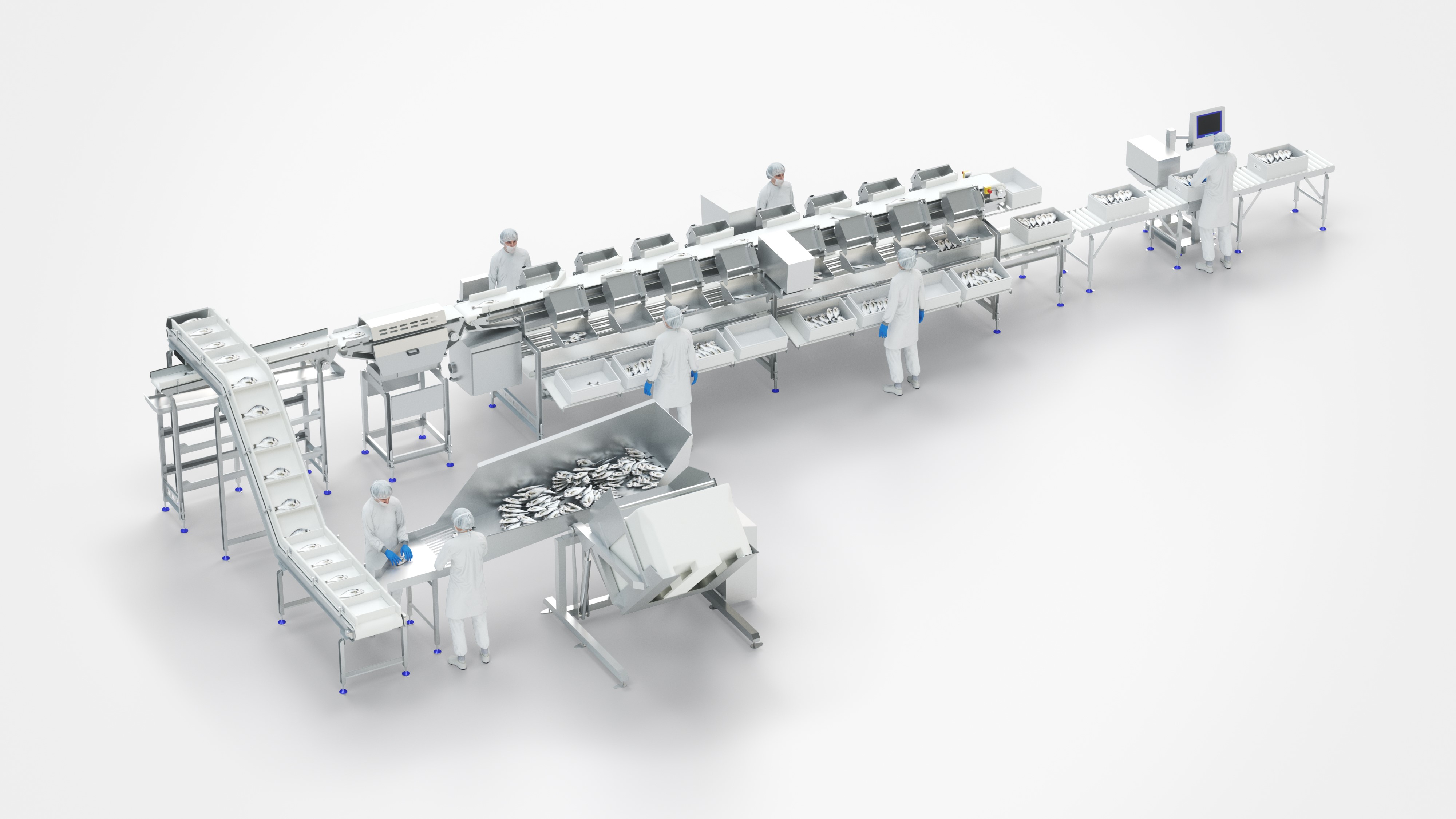 Farmed Fish Packing Solution | Marel