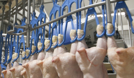 Solid shackles for product and pack