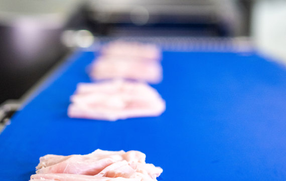 Slicing Shaving Cooked Ham Belt