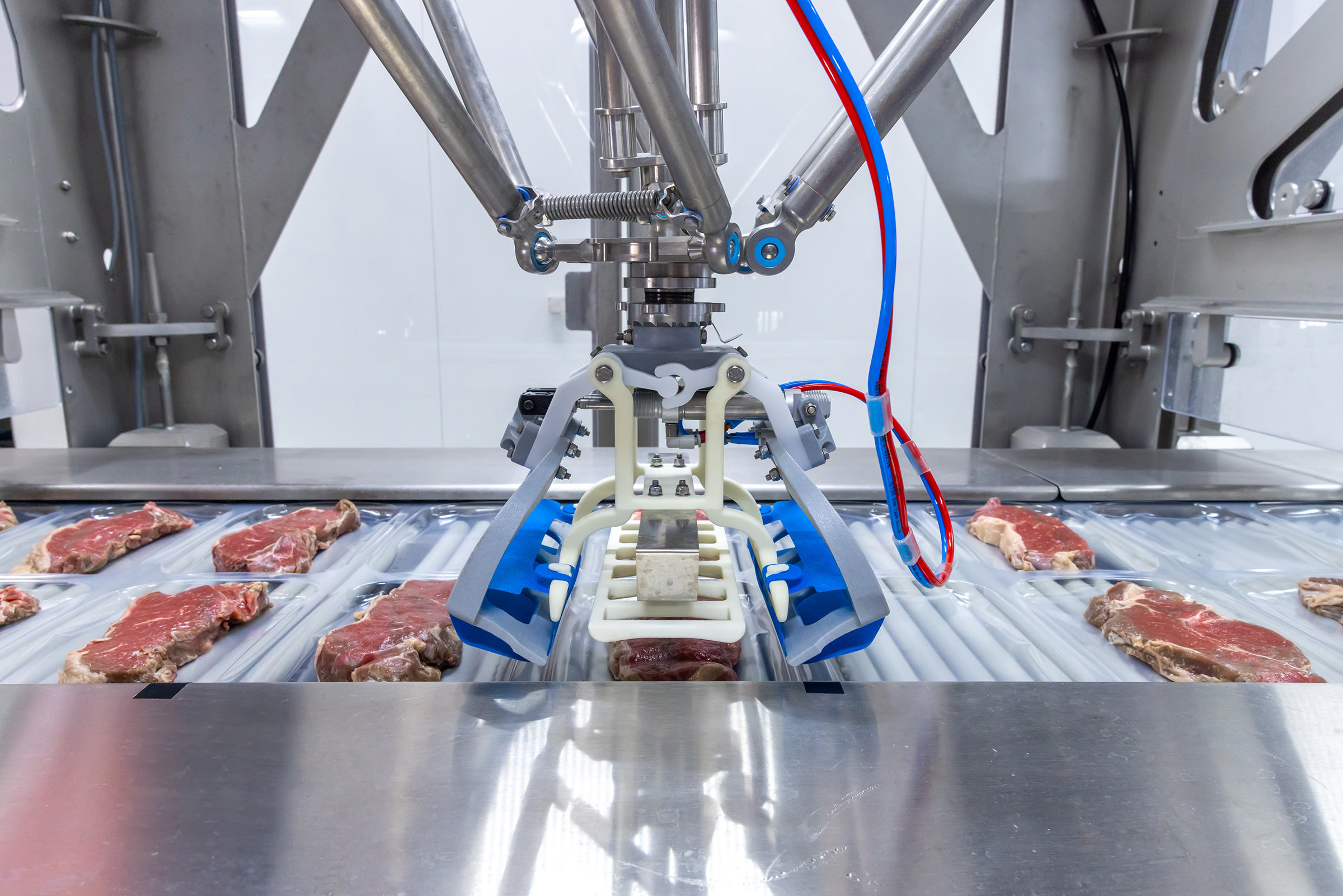 RoboBatcher robotic arm gently picking up two prestyled boneless pork fillets to place into thermoformer pack with consistent and precise alignment