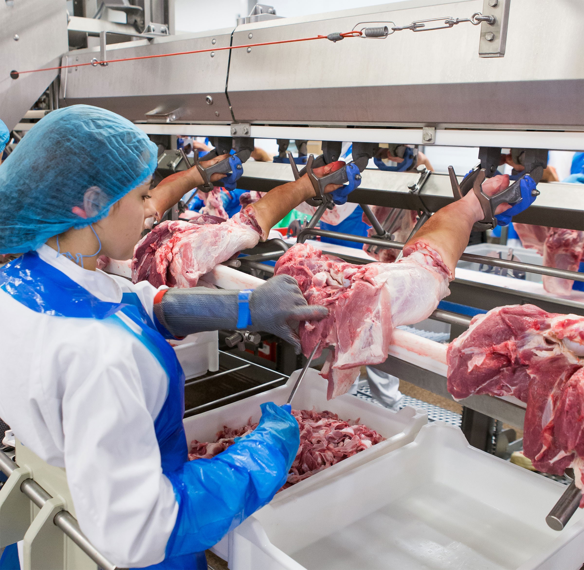 Meat processing shop equipment manufacturers