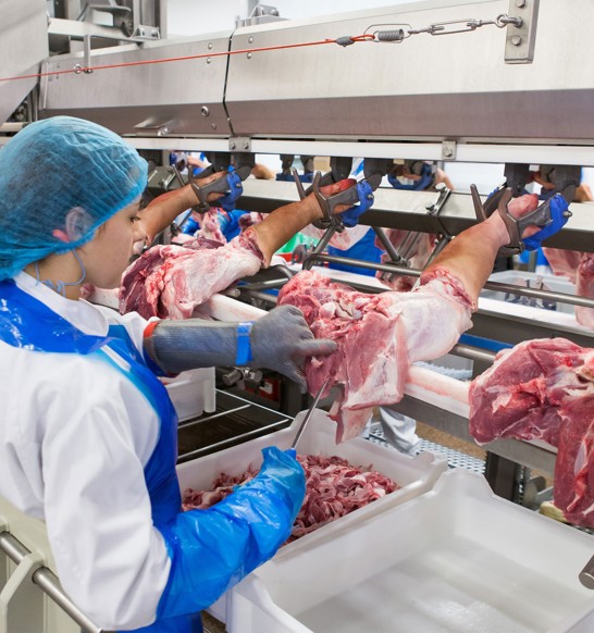 Deboflex meat deboning line