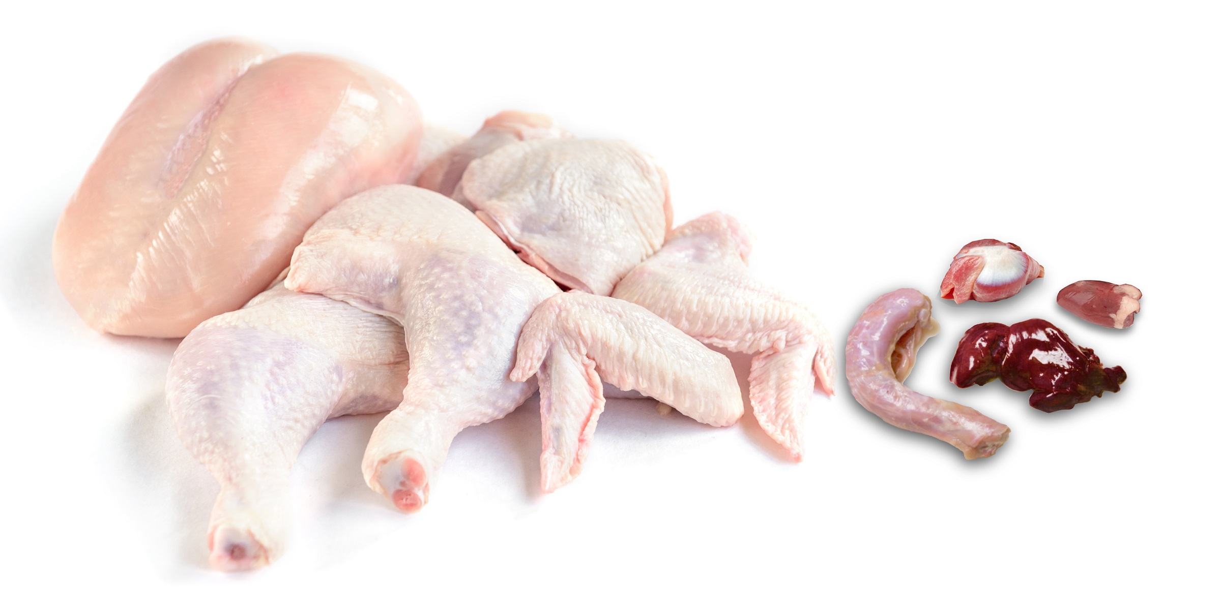 Équilibre des carcasses – un défi majeur pour l'industrie avicole