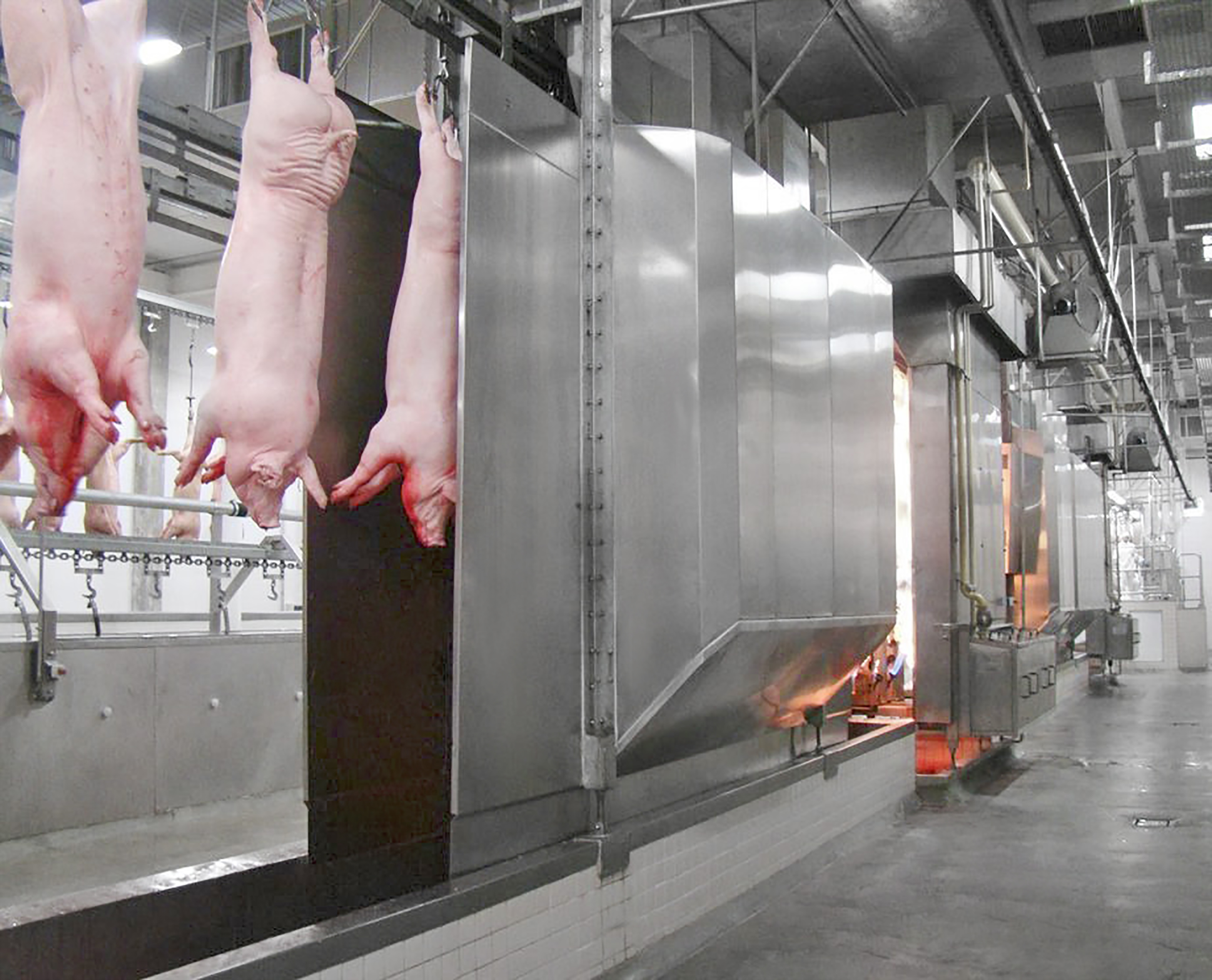 polish drying pork processing washing and polishing