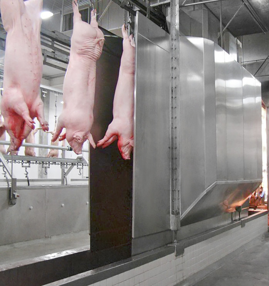 polish drying pork processing washing and polishing