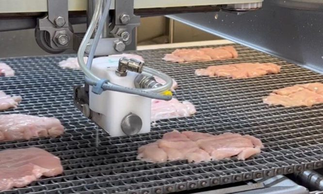 DSI Waterjet Portioning System