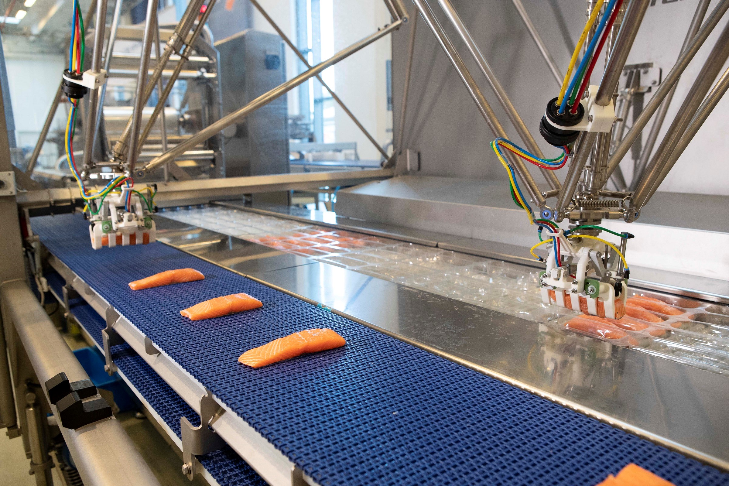 Marel's Robobatcher Thermoformer for automated packing and styling of salmon portions for retail packs