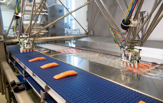 Marel's Robobatcher Thermoformer for automated packing and styling of salmon portions for retail packs