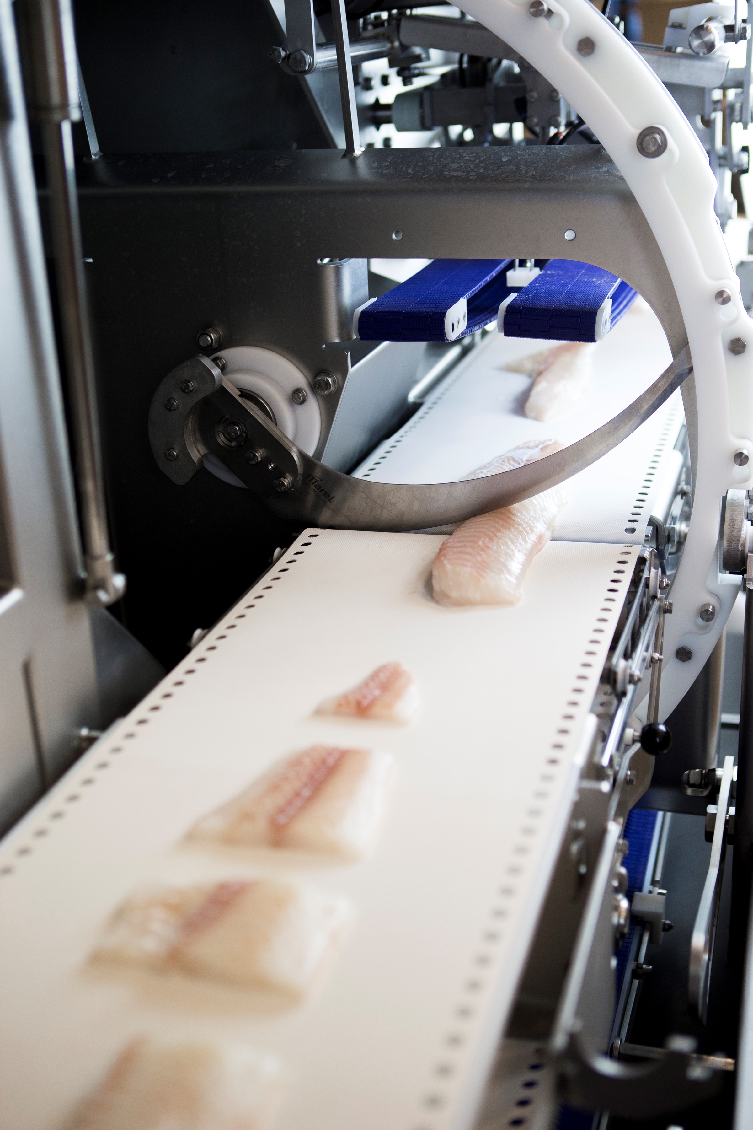 ICut 130 PortionCutter for Fish Marel