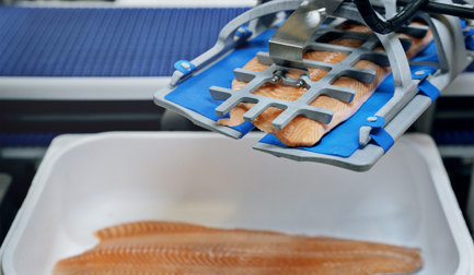 Marel’s new RoboBatcher Box is the world’s leading intelligent robotic solution for fish packing