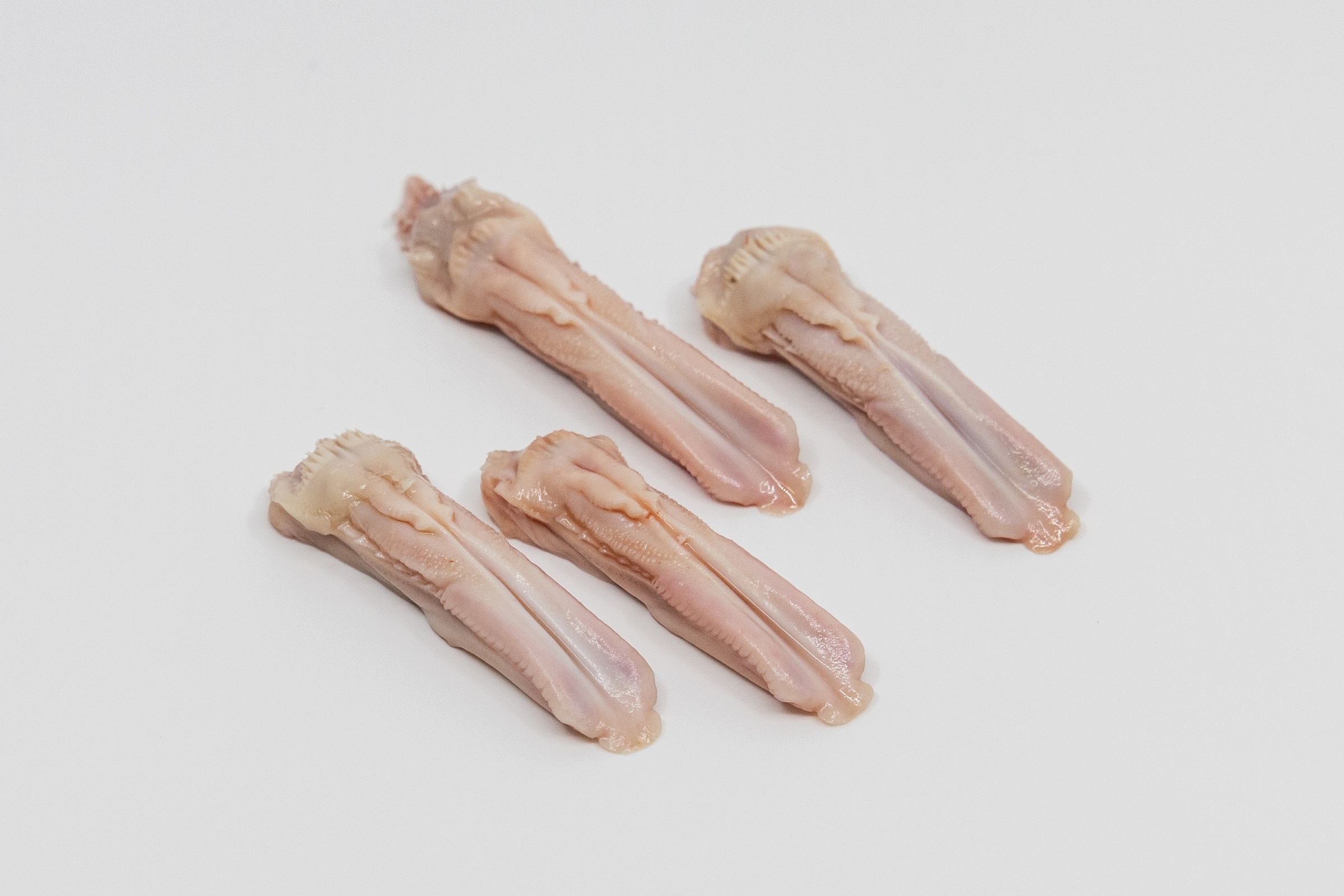 Duck Tongues2