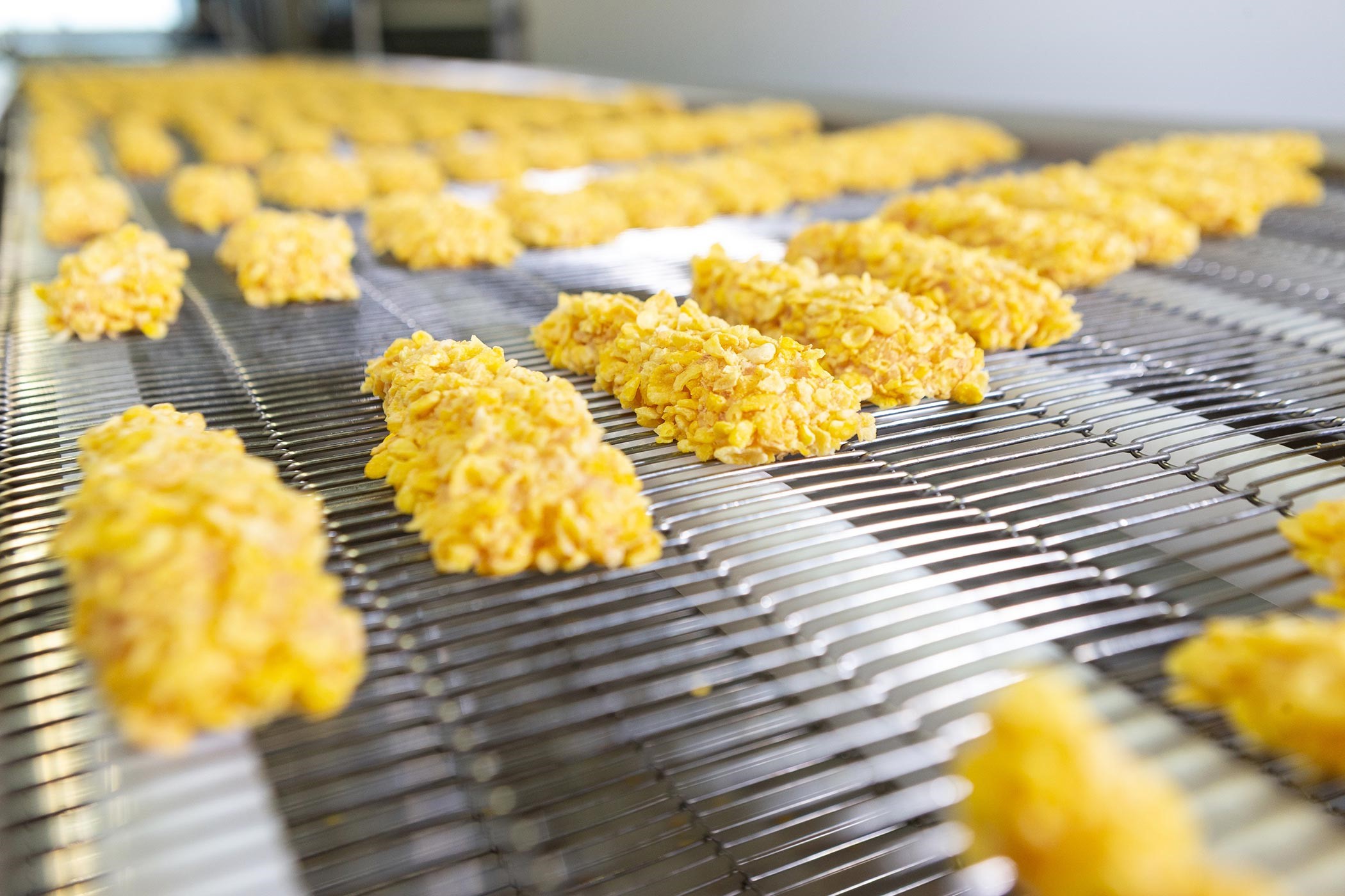 Marel's food processing convenience line creates highest quality coated poultry products