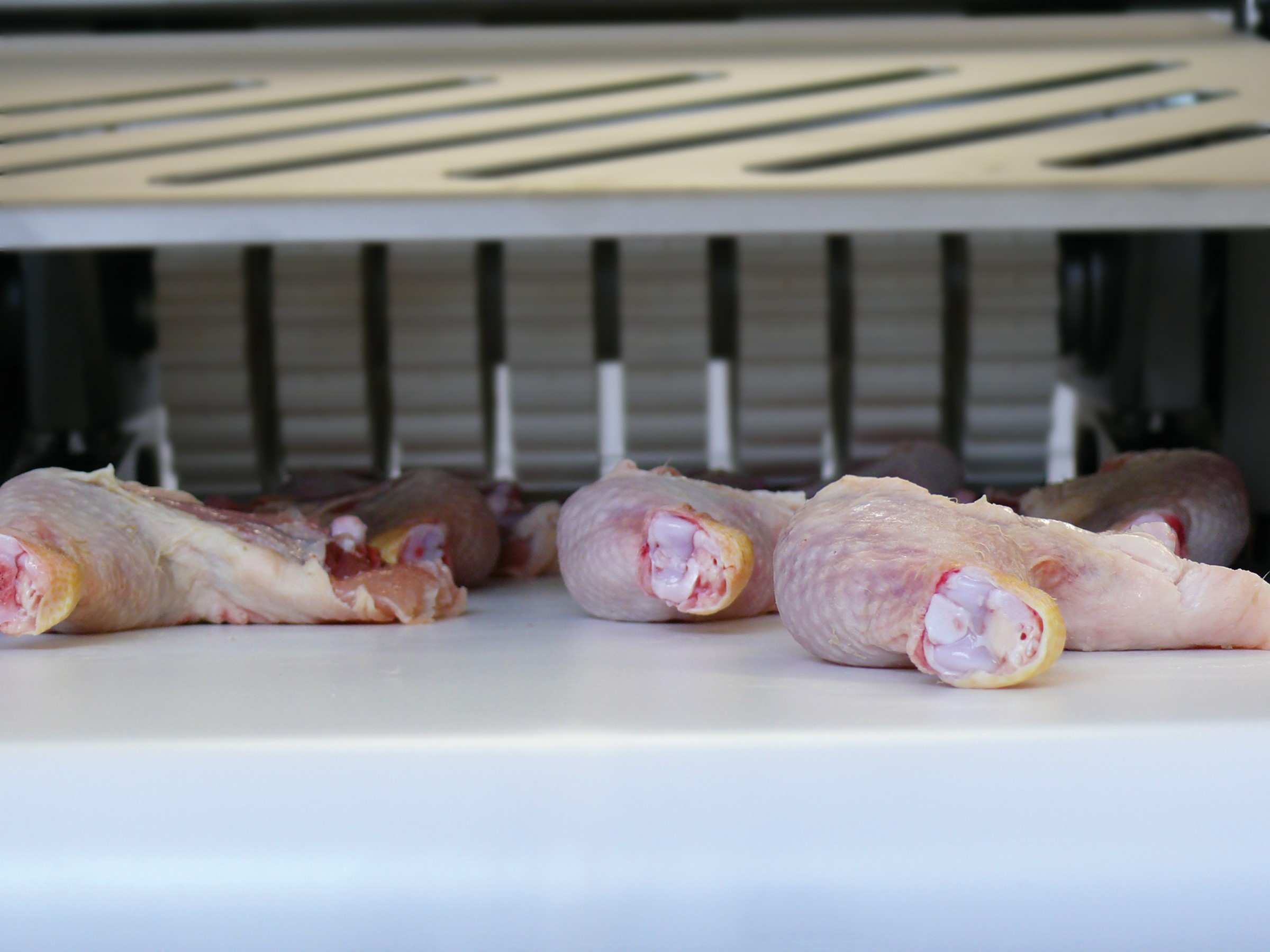 MAJA ESB-GV automatic skinning of poultry legs
