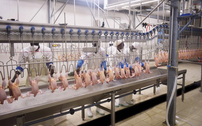 Poultry Overhead Conveyor Line