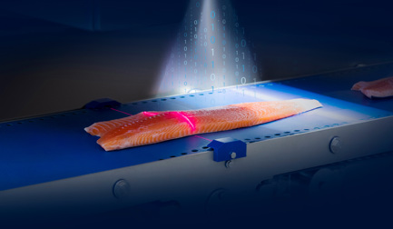 5 Tech innovations reshaping salmon processing in 2025