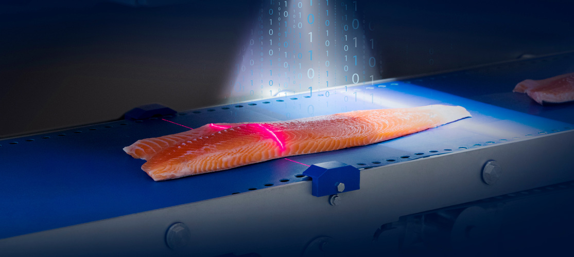 Salmon Processing Smart Software Scan