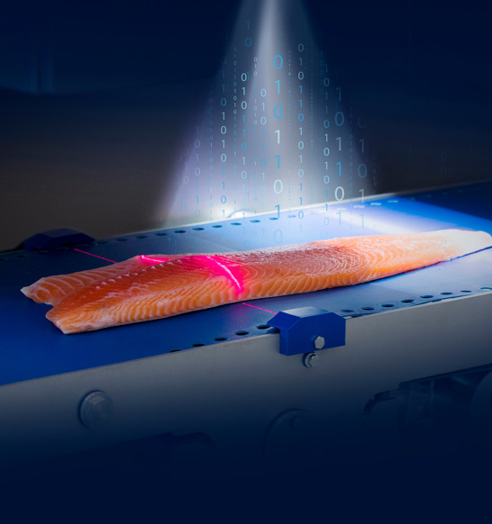 Salmon Processing Smart Software Scan