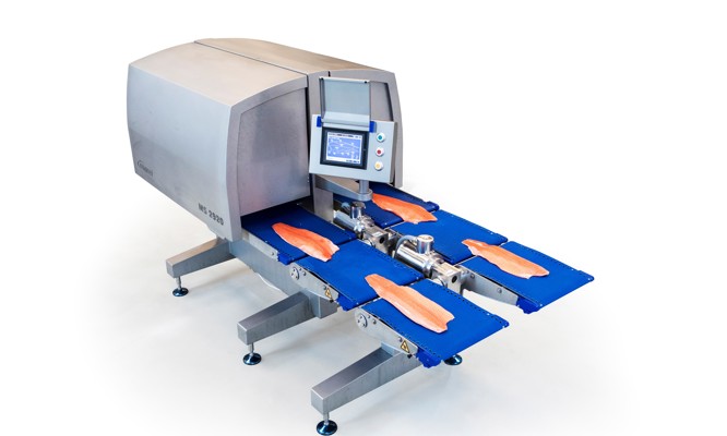 QC Scanner MS 2920