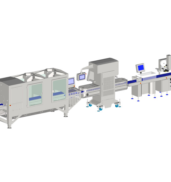 Tray Packing Sealing Labeling Line