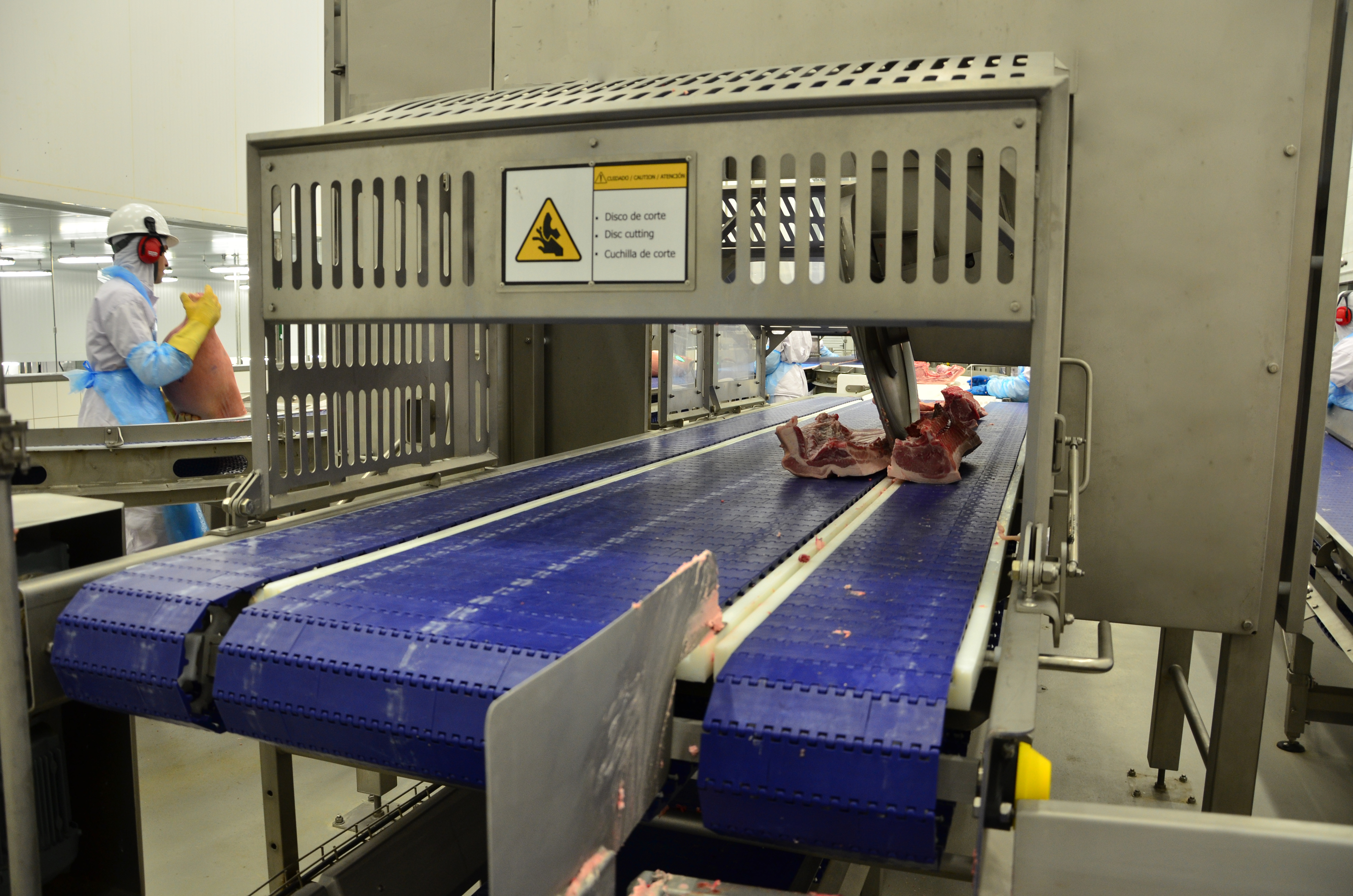 Carcass Cutter For Primal Cutting System In Pork Processing