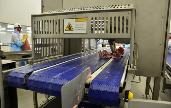 carcass cutter for primal cutting system in pork processing