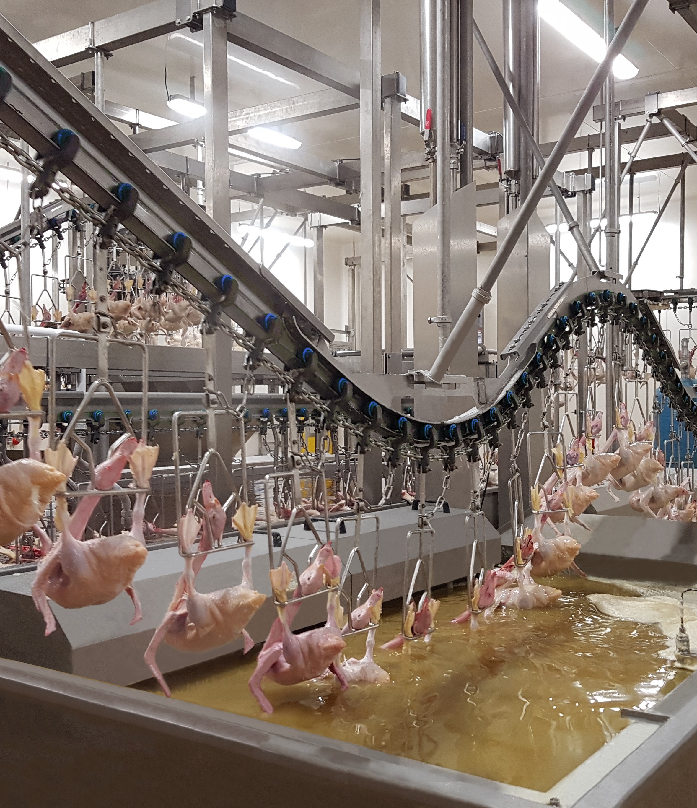 Integrated duck processing solutions