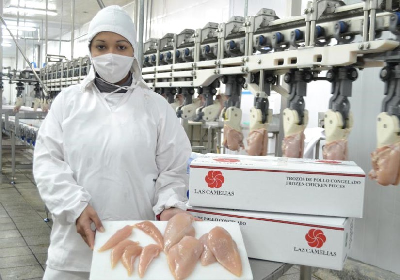 las-camelias-poultry-front-half-filleting-1.jpg