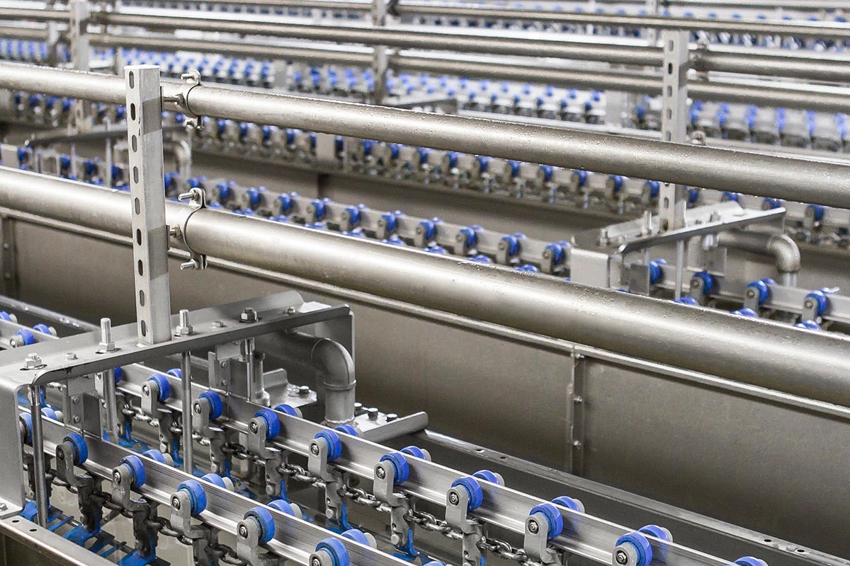 Immersion chilling for ducks Marel