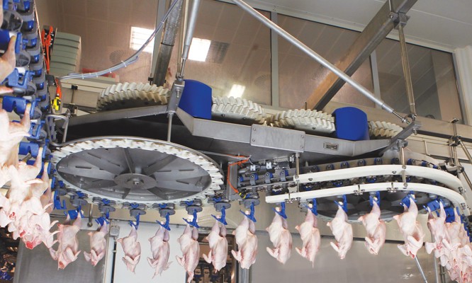 SmartWeigher en la línea de distribución