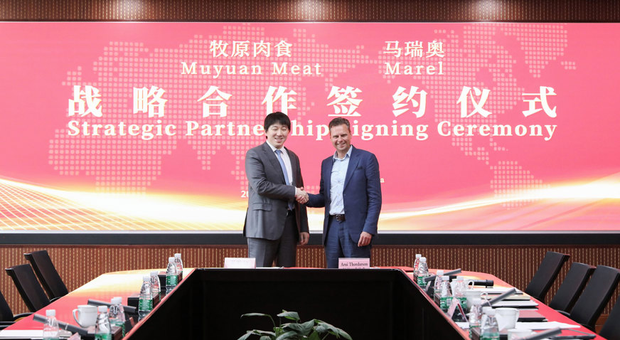 Muyuan China Signing 2