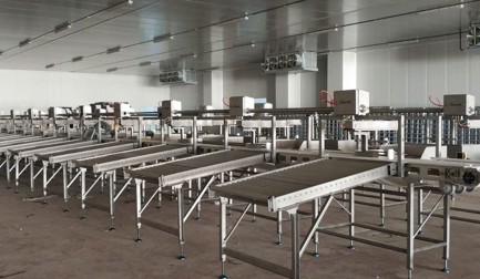 Senpiliç chooses Marel