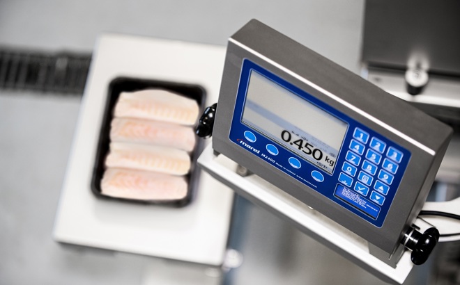 Marel Scale For Fish Processing M1100