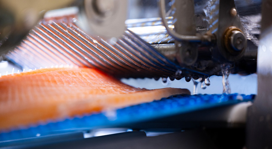 Swiss Lachs Pinbone