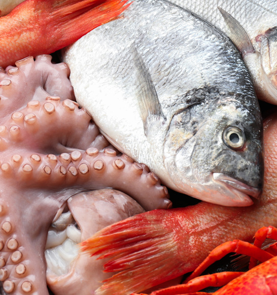 Other Seafood