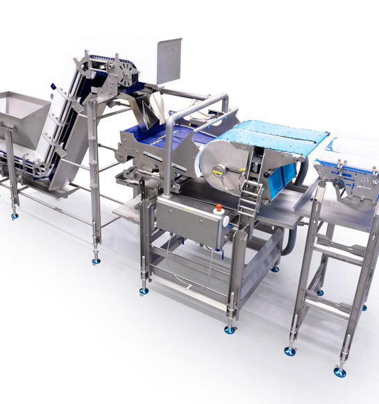 Singlefeed 2 Render 2