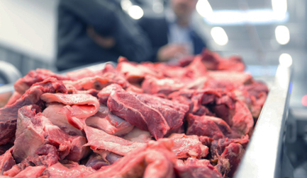 Improve profit potential with data-driven supplier benchmarking