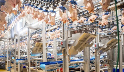 Automation gains ground in Brazil