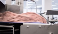 Meat preparation