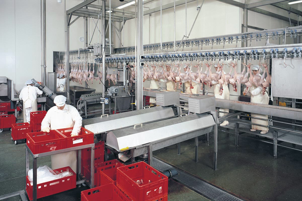 Giblet processing